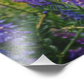 北極性ルパン印象主義 フォトプリント            (角)