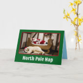 北極昼寝 カード (黄色い花)