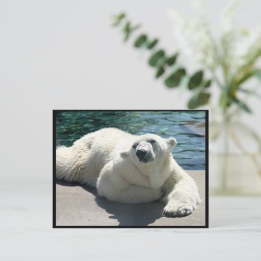 北極極熊はがき ポストカード (スタンド正面)