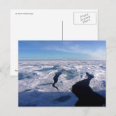 北極海の氷分野 ポストカード (正面/裏面)