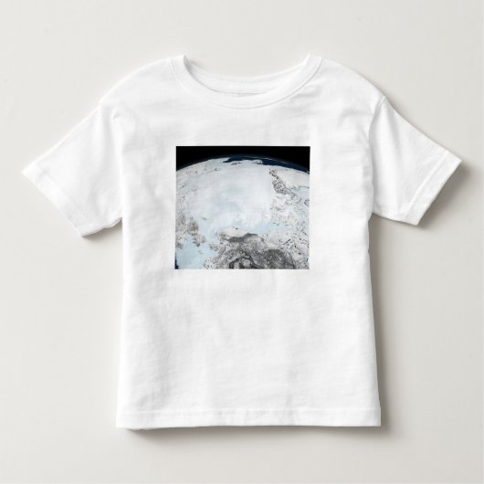 北極海氷2 トドラーTシャツ (正面)