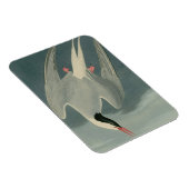 北極海産 マグネット (右側)