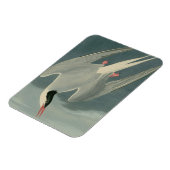 北極海産 マグネット (左側)