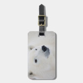 北極熊チャーチル ラゲッジタグ (正面縦)