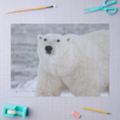 北極熊ティッシュペーパー 薄葉紙 (クラフト)