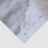 北極熊ティッシュペーパー 薄葉紙 (詳細)