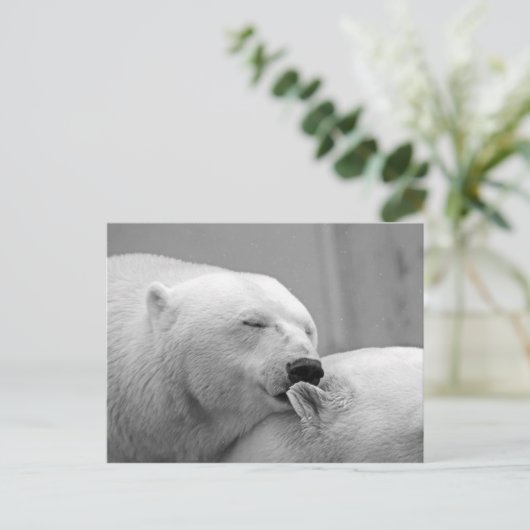 北極熊 ポストカード (スタンド正面)