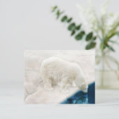 北極熊 ポストカード (スタンド正面)