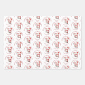 北極特殊宅配サンタ切手セット3 ラッピングペーパーシート (正面)