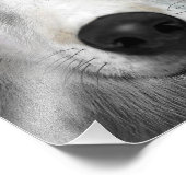 北極狼 フォトプリント            (角)