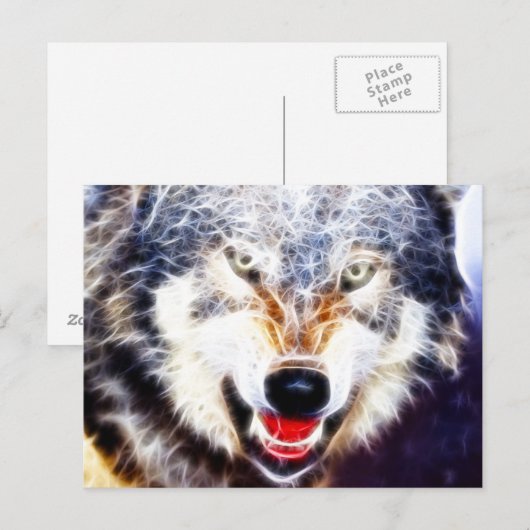 北極狼 ポストカード (正面/裏面)