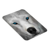 北極狼 マグネット (右側)