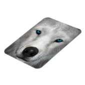 北極狼 マグネット (左側)