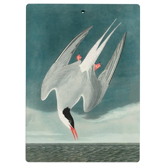 北極産のオードボンバード野生生物絵画の クリップボード (裏面)