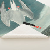 北極産のオードボンバード野生生物絵画の シェルパブランケット (3/4)