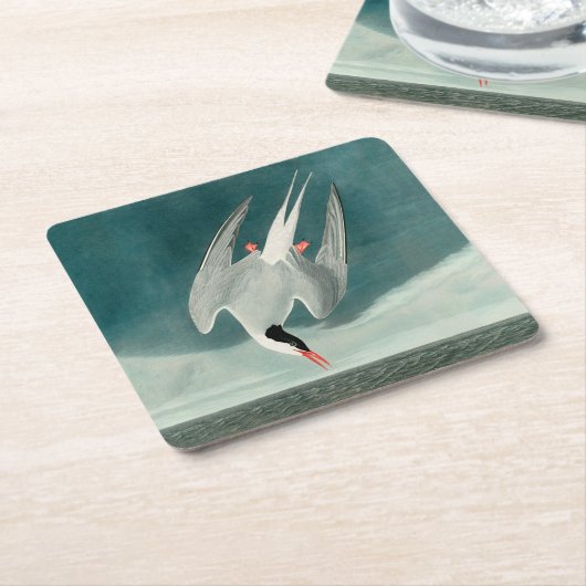 北極産のオードボンバード野生生物絵画の スクエアペーパーコースター (アングル)
