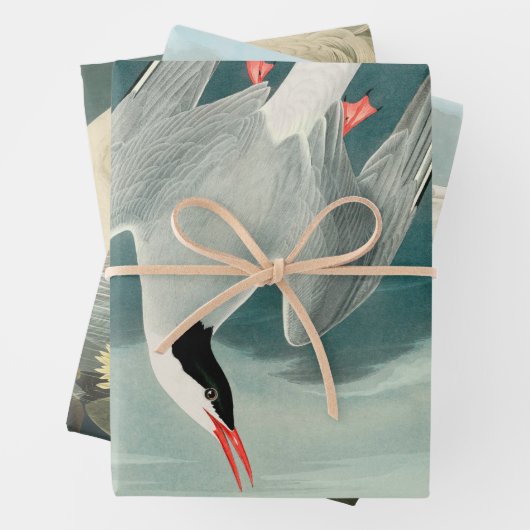 北極産のオードボンバード野生生物絵画の ラッピングペーパーシート (インサイチュ)