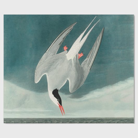 北極産のオードボンバード野生生物絵画の ラッピングペーパー (フラット)