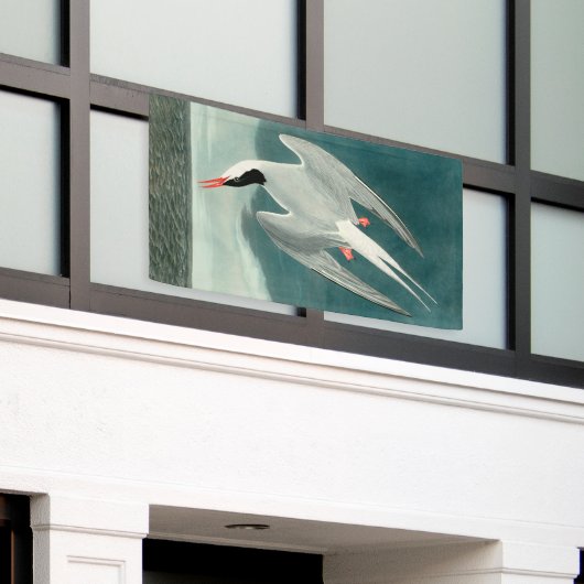 北極産のオードボンバード野生生物絵画の 横断幕 (ビルの外側)