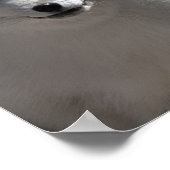 北極相棒 ポスター (角)