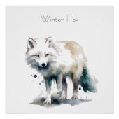 北極美しい：冬のキツネカスタム ポスター (正面)