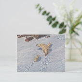 北極雪の北極熊の家族 カード (スタンド正面)