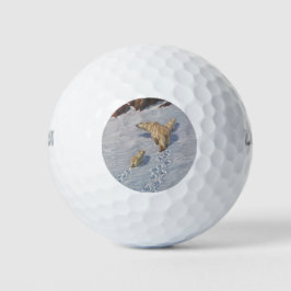 北極雪の北極熊の家族 ゴルフボール