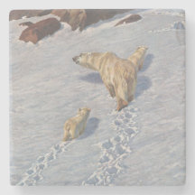 北極雪の北極熊の家族