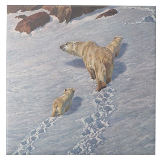北極雪の北極熊の家族 タイル (正面)
