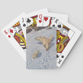 北極雪の北極熊の家族 トランプ