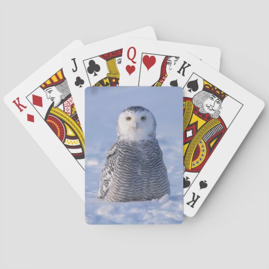 北極雪フクロウ冬のシーン遊のカード トランプ (裏面)