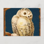 北極雪フクロウ鳥 – 冬の初日 ポストカード (正面)