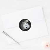 北極雪狼 ラウンドシール (封筒)