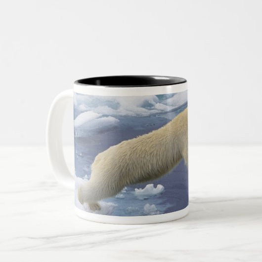 北極、スバルバード、ホッキョクグマ延長 ツートーンマグカップ (正面左)