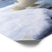 北極、スバルバード、ホッキョクグマ延長 ポスター (角)