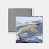 北極、スバルバード、ホッキョクグマ延長 マグネット (正面/裏面)