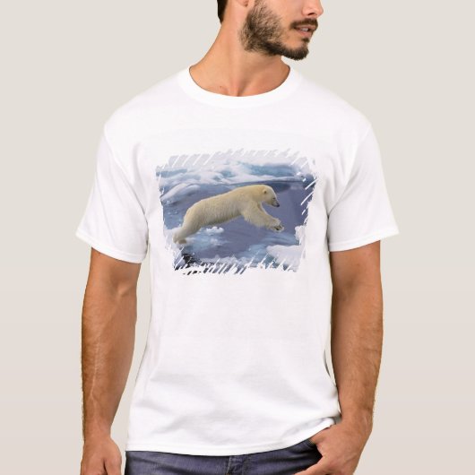 北極、スヴァールバル諸島、体を伸ばすホッキョクグマ Tシャツ (正面)