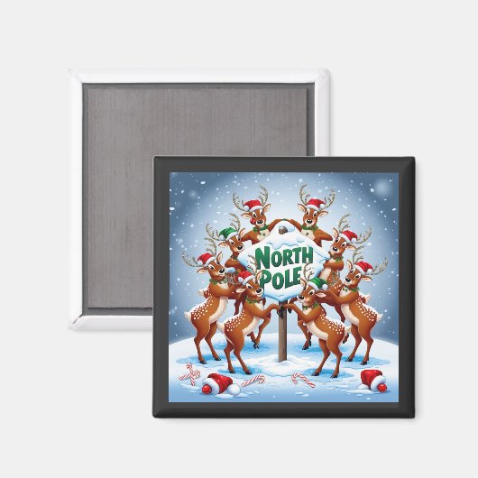 北極 マグネット (正面/裏面)