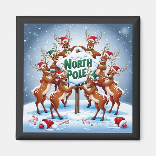 北極 マグネット (正面)