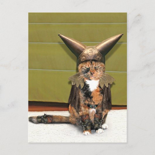 北欧猫は面白くない ポストカード (正面)