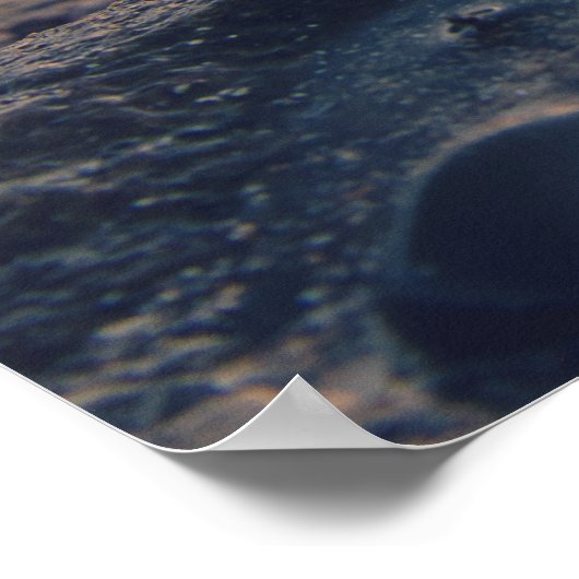 北海シェル ポスター (角)