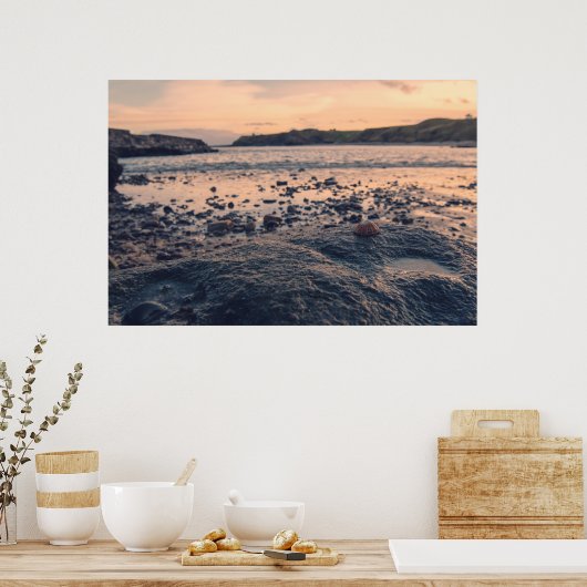 北海シェル ポスター (キッチン)