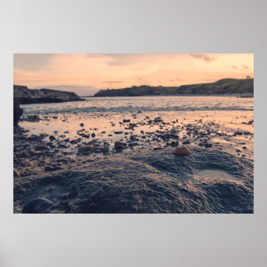 北海シェル ポスター (正面)