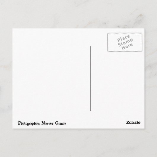 北海岸 ポストカード (裏面)