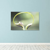 北海道美瑛市植物茎のカエル キャンバスプリント (インサイチュ (ウッドフロア))