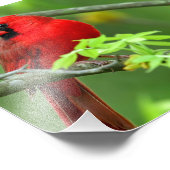 北深紅色 フォトプリント            (角)