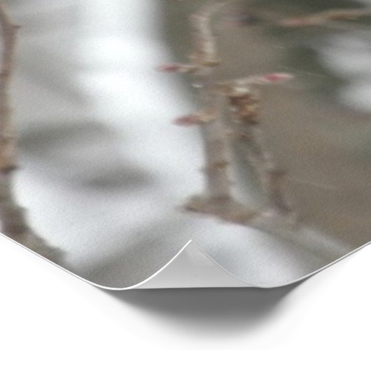 北深紅色 ポスター (角)