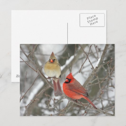 北深紅色 ポストカード (正面/裏面)