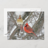 北深紅色 ポストカード (正面/裏面)