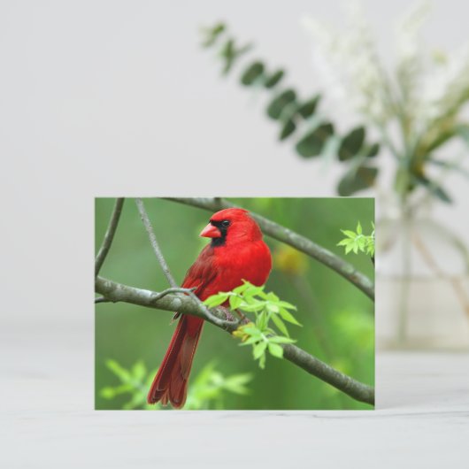 北深紅色 ポストカード (スタンド正面)